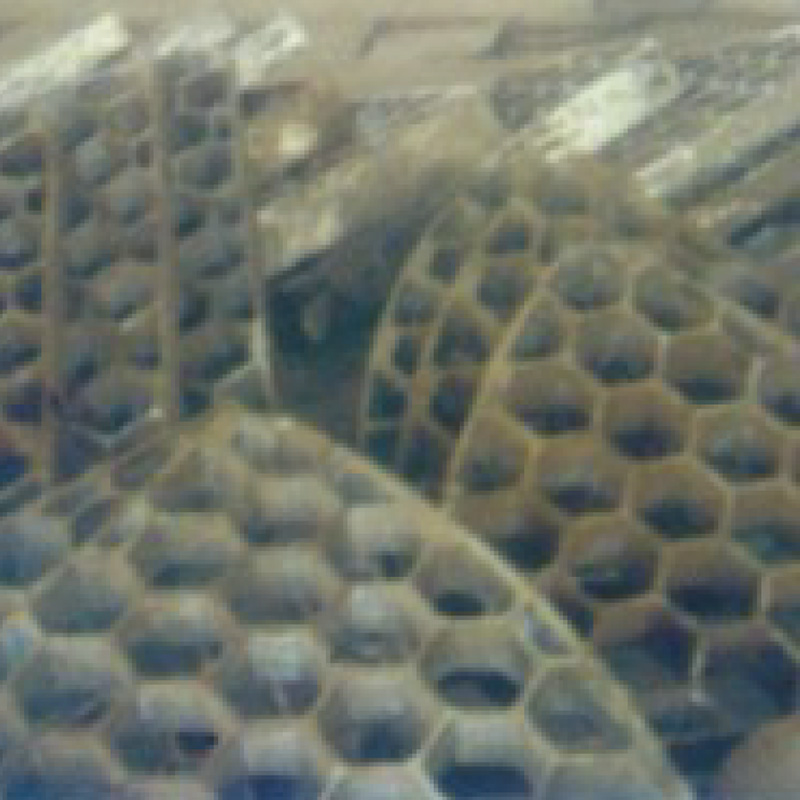 Panneaux en nid d'abeille